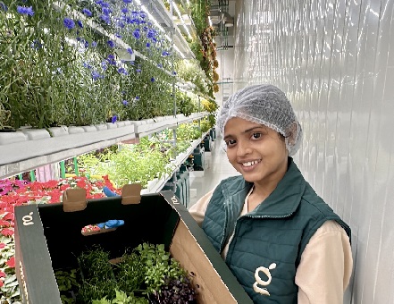 Vertical Farming 