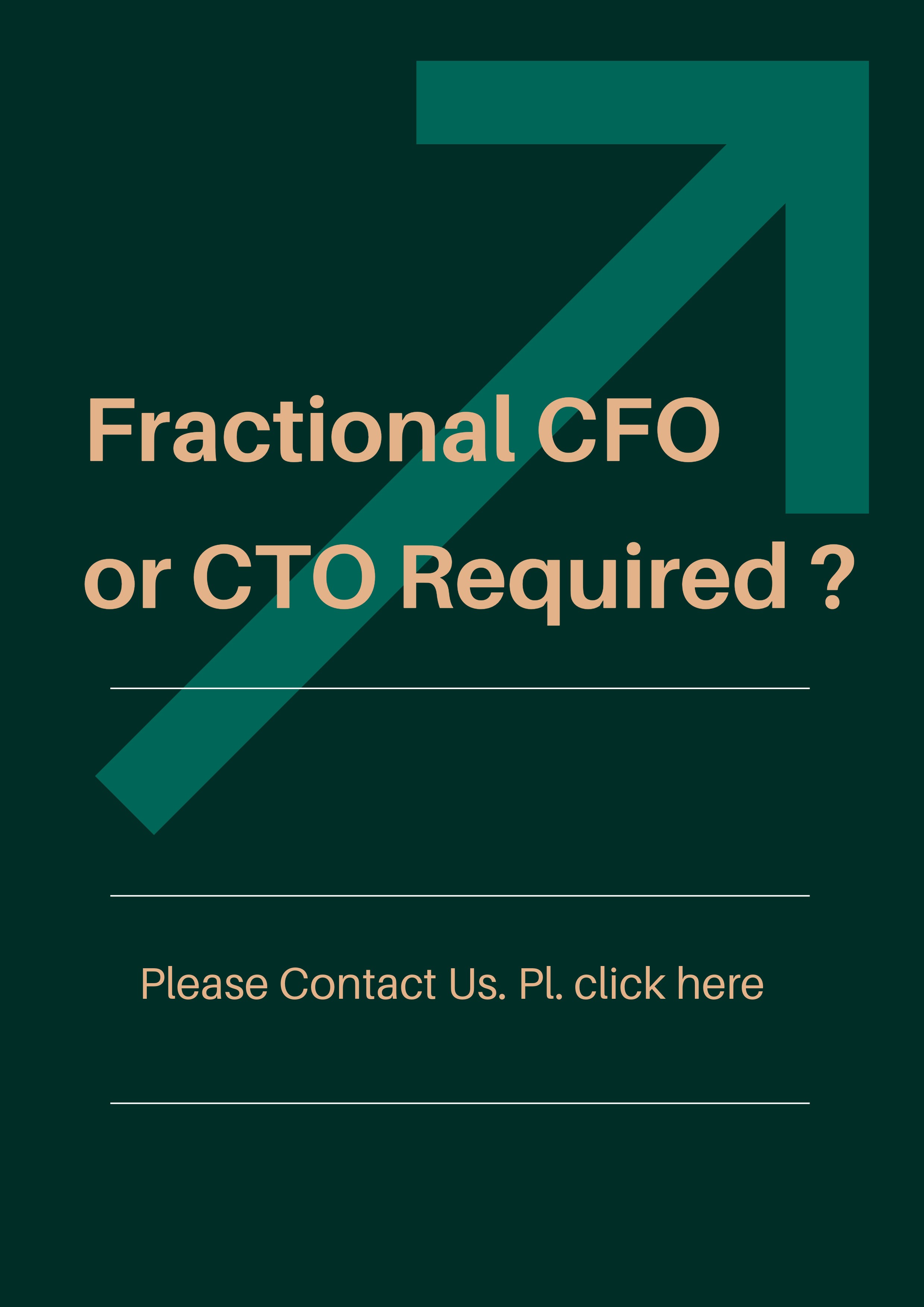 Fractional-CTO-or-CFO