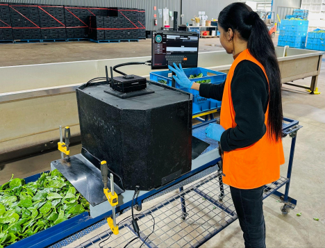 GoMicro and Boratto Farms AI-in-a-Box for Leafy Green Quality Control