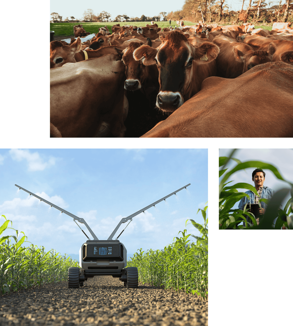 Networking at Future of Food Summit